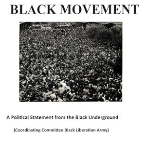 Message to the Black Movement Paperback